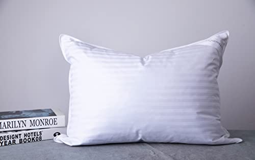 ArcticNorthDown Goose Down Feather Hotel Collection Bed Pillows for Sleeping Pair Standard Pillows for Back, Stomach or Side Sleepers Stripe White Color Set of 2 Pillows - Image 3