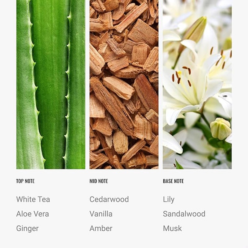 Hotel Collection Island Life Fragrance Oil Blend - Hotel Inspired for Luxury Essential Oil Diffusers - Aromatherapy Scent Diffuser Oil - Ocean, Sandalwood, and Honeysuckle - 50 mL, 1.7 fl oz - Image 2