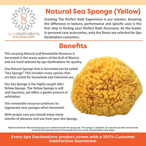 spa destinations 100% Natural Sea Sponge 5-6" by Spa Destinations"Creating The In Home Spa Experience" For the Perfect Bath or Shower Experience. … - Image 4