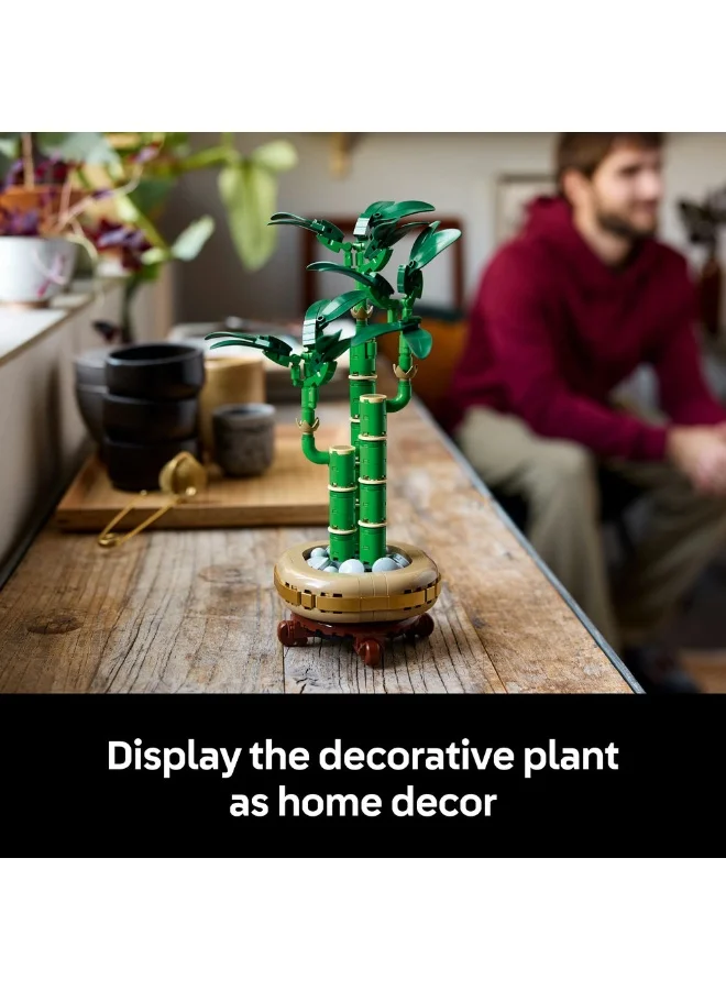 LEGO Botanicals Lucky Bamboo Plant Decor 10344 (325) Pieces