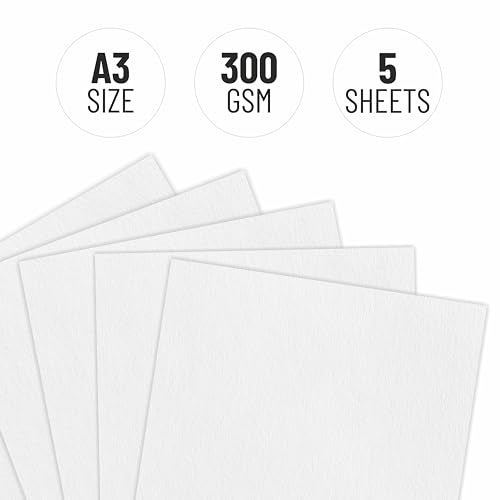 Anupam Professional Watercolour Paper | A3 (42X30CM) 300 GSM Cold Pressed Paper |Acid-Free 5 Sheets| Ideal for Artist, Professional Drawing, Painting Dry & Wet, Fine Art, School, Students - Image 3
