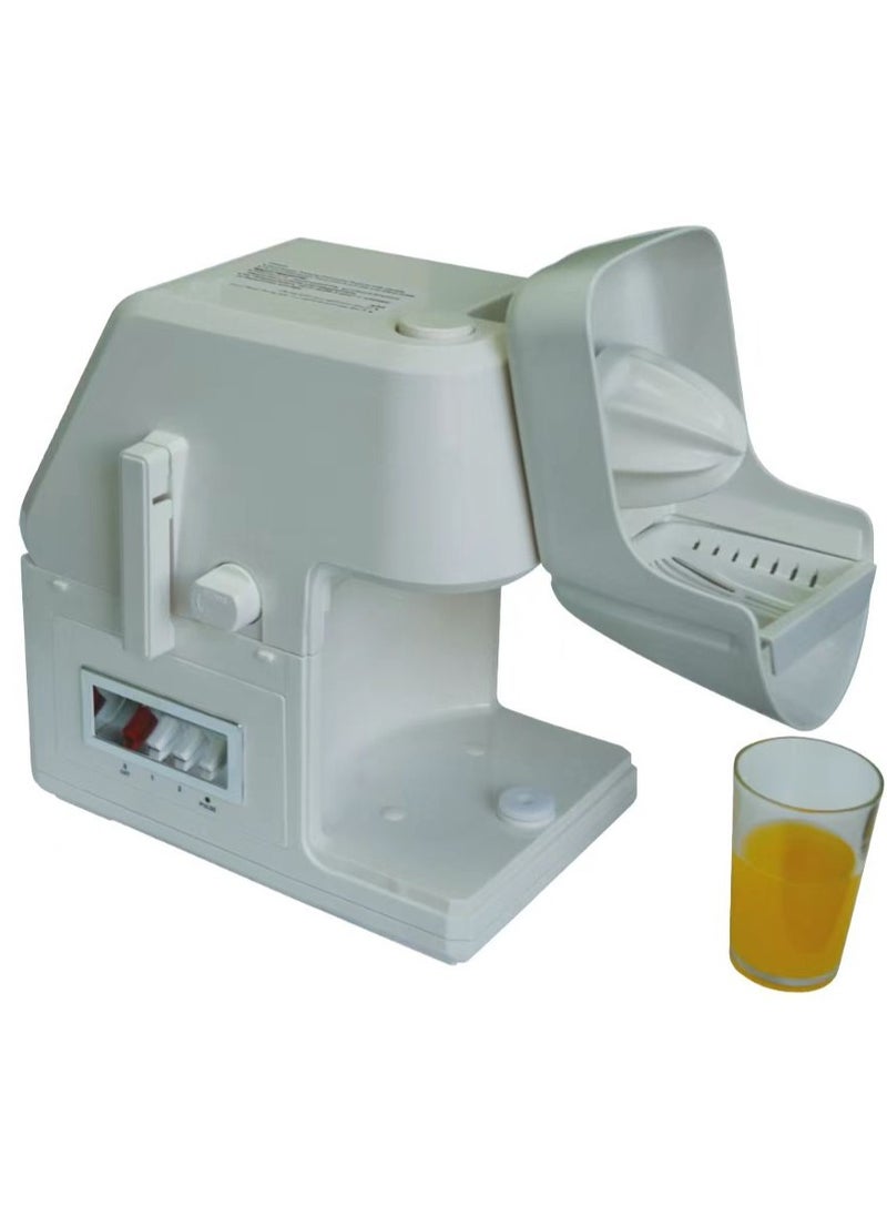 Feilex - DP Multipurpose Food Processor 10 in 1 - Fruit Juicer - Kneader - Meat Grinder - Blender - 400 Watt - 1.25 Liter Capacity - DPB-250 - White - Image 1