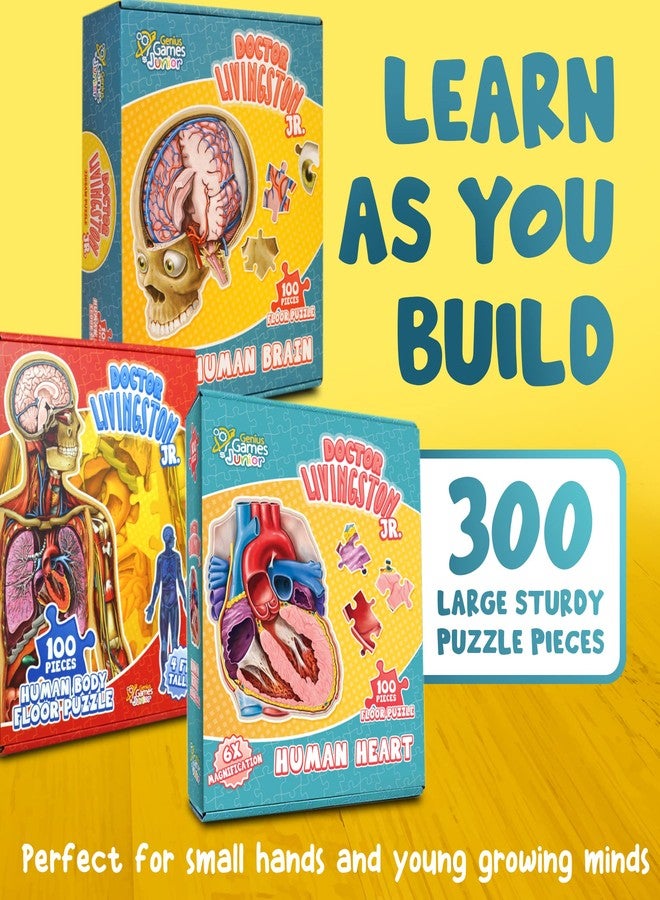 Genius Games مجموعة ألغاز تشريح جسم الإنسان للأطفال - 100 قطعة من ألغاز أرضية لجسم الإنسان، ودماغ الإنسان، وقلب الإنسان - Image 3