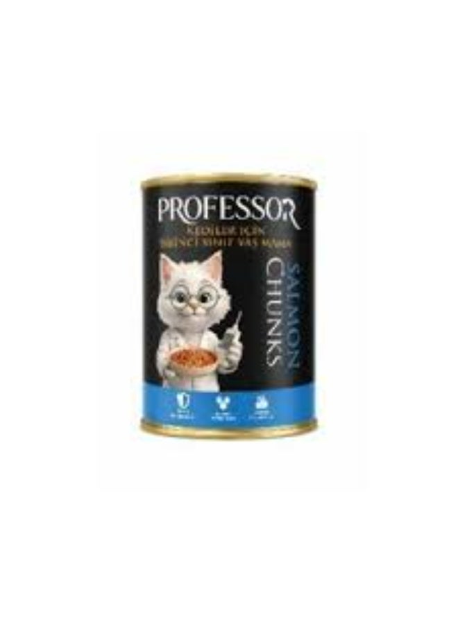 Professor Chunks Can Food For Adult Cat - Salmon 400 GM Pack of 6