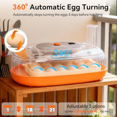Yofidra Incubators for Hatching Eggs 24 Egg Incubator Automatic Egg Turner with Humidity Control Digital Temperature Hatch Day Auto Water Refill 360Viewing for Chicken Duck Quail Duck Goose - Image 3