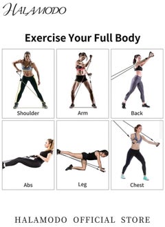 HALAMODO 11 PCS Resistance Band Set Exercise Resistance Bands with Handles for Men and Women Fitness Exercise Bands for Yoga Pilates Physical Therapy Home Workout Set with Door Anchor Ankle Straps Carry Bag  - Image 3