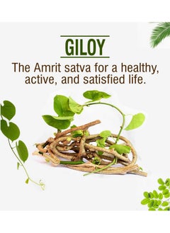 BIO RESURGE LIFE Bio Resurge Giloy Tablets Boosts Immunity Helps Gout Arthritis Dengue Skin Health 750 mg 60  - Image 4