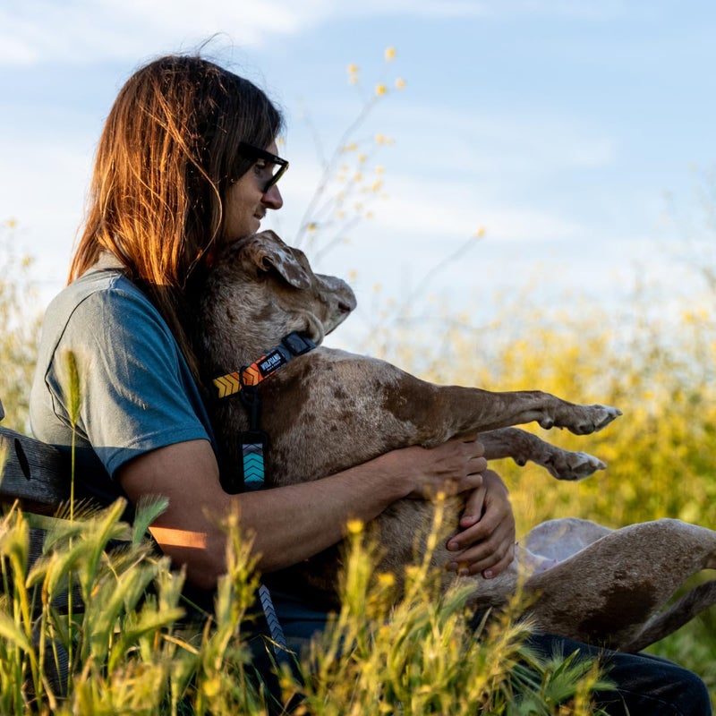 Wolfgang Man & Beast Wolfgang Heavy Duty Dog Leash, Pull-Tested to Over 800 lbs for Walking & Training, ChevTech Print, Dual-Handle Large - Image 2