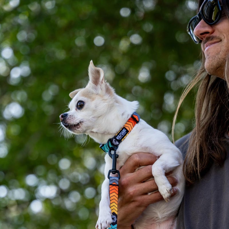 Wolfgang Man & Beast Wolfgang Heavy Duty Dog Leash, Pull-Tested to Over 800 lbs for Walking & Training, ChevTech Print, Dual-Handle Large - Image 4