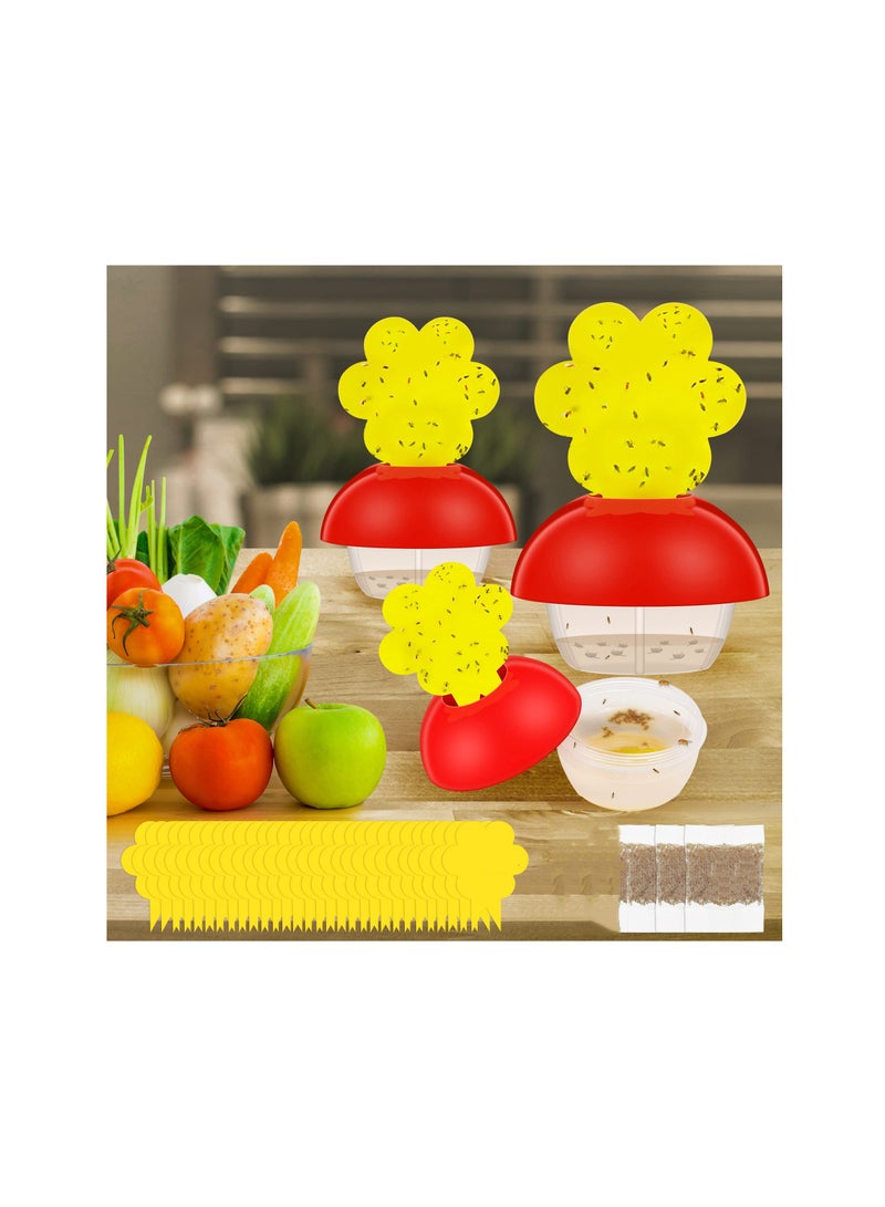 Luckam 3 Pack Fruit Fly Traps for Indoors with 9 Pcs Sticky and 3 Baits Gnat Killer Catcher Fungus House Flies Kitchen Plant - Image 1