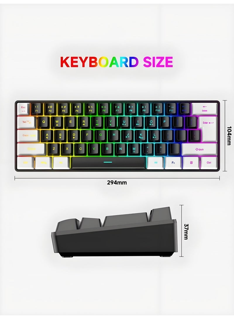 BS 61-Key Compact RGB Gaming Keyboard – 60% Layout | USB interface | Ergonomic Membrane Keys | 8-Color Backlight | Plug & Play for PC/Laptop (Windows 10/8/7) - Image 2