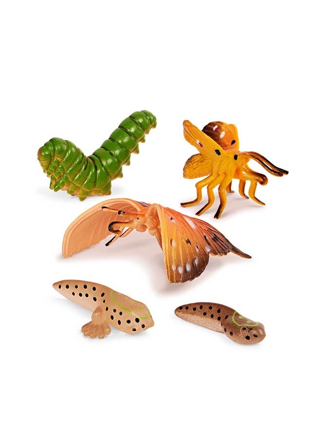 Terra by Battat 10 Pcs Metamorphosis Animals Tube, Metamorphosis Animals Set-Ensembled' Animaux Avec Met Amorphose, Realistic looking Mini 4-12 cm Plastic Animal Figure Toys for Kids 3+ Years  - Image 3
