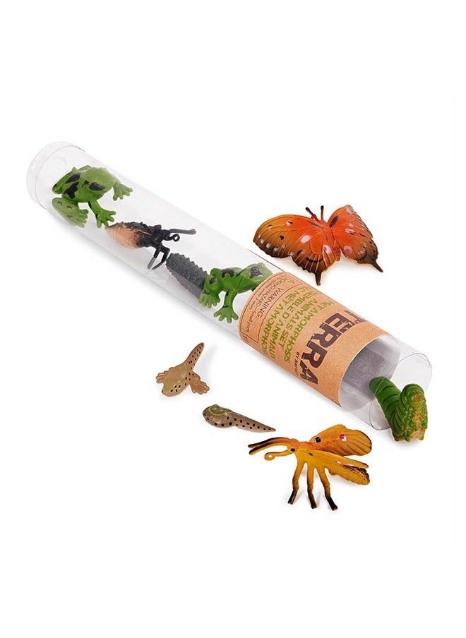 Terra by Battat 10 Pcs Metamorphosis Animals Tube, Metamorphosis Animals Set-Ensembled' Animaux Avec Met Amorphose, Realistic looking Mini 4-12 cm Plastic Animal Figure Toys for Kids 3+ Years  - Image 4