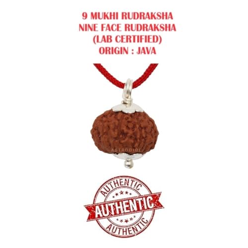 ASTRODIDI 9 Mukhi Rudraksha Original Certified Java Nine Face Small Size Silver Coated Rudraksh Pendant With Lab Report| Astrological Benefits | Unisex Design for Men & Women - Image 3