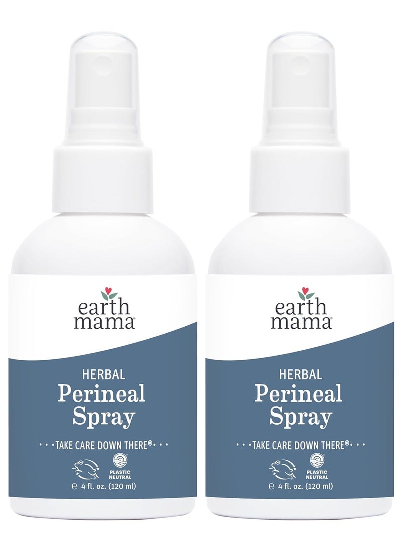 Earth Mama Earth Mama Herbal Perineal Spray | Safe for Pregnancy and Postpartum Recovery, Witch Hazel Natural Cooling Spray for After Birth Feminine Care Essentials, No Benzocaine or Butane, 4-Fl oz (2-Pack) 