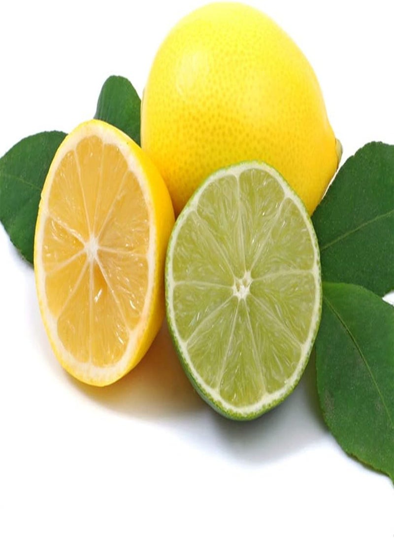 جي جوت 20 قطعة من بذور الليمون المختلطة ذات الرائحة الحامضة والعصيرية الغنية للزراعة الداخلية والخارجية، ديكور حديقة فريد له قيمة زخرفية - Image 1