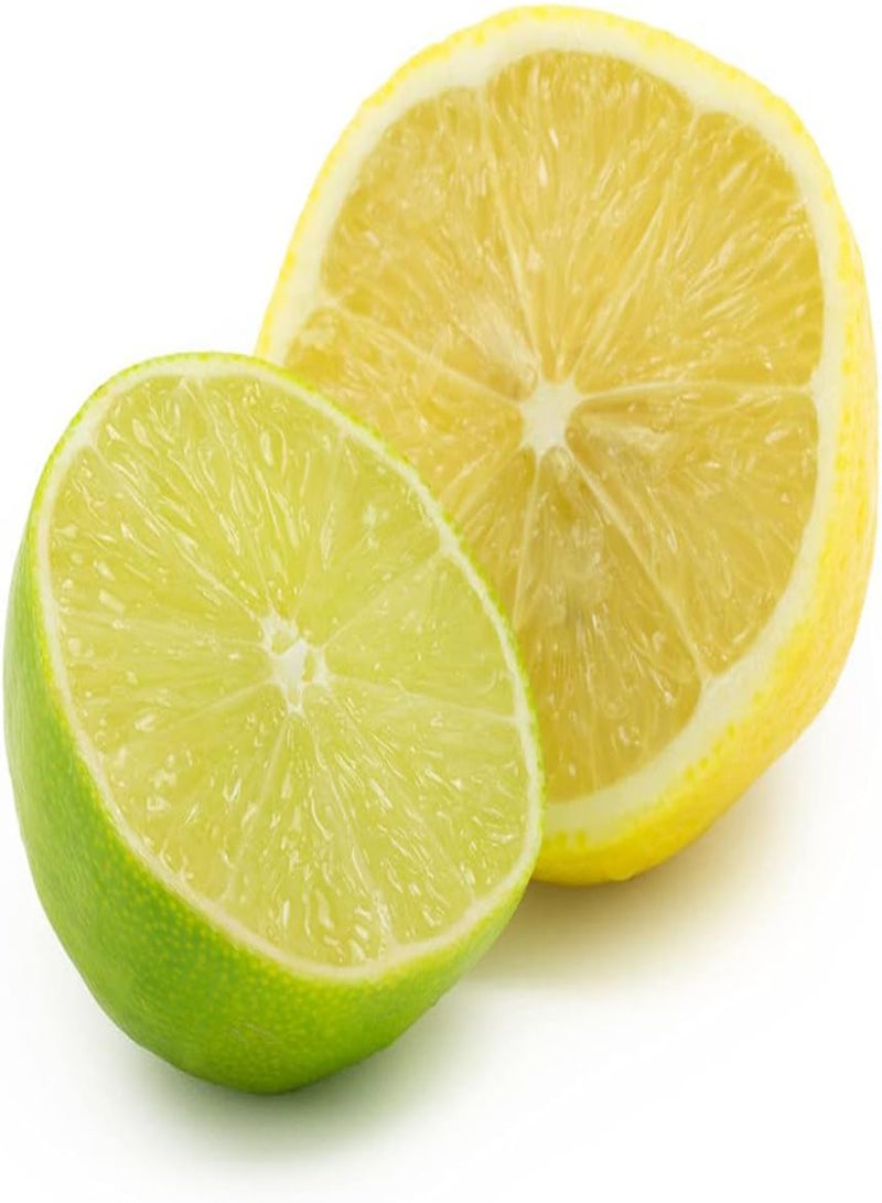 جي جوت 20 قطعة من بذور الليمون المختلطة ذات الرائحة الحامضة والعصيرية الغنية للزراعة الداخلية والخارجية، ديكور حديقة فريد له قيمة زخرفية - Image 2