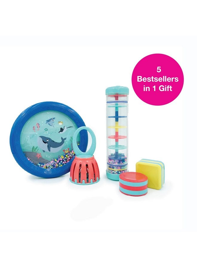 Edushape First Birthday Gift Set - Baby Musical Instruments & Toddler Music Set - Music Toys Baby Gift - Includes Hand Drum, Rain Stick, Shakers, Bell - Interactive Toddler Music Toys for Toddlers 1-3 - Image 2