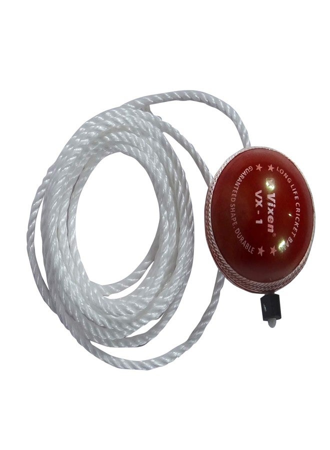 Vixen Stroke Synthetic Hanging Ball for Cricket Practice (Red) - Image 1