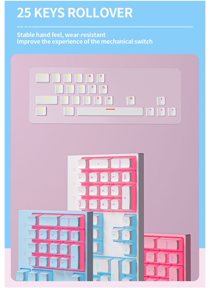 Zifriend - Mechanical Keyboard 104 Keys Blue Switch Pudding Keycaps RGB Backlit Wired Gaming Keyboard 25-Key Rollover Anti-Ghosting - Black Blue Switch - Image 1