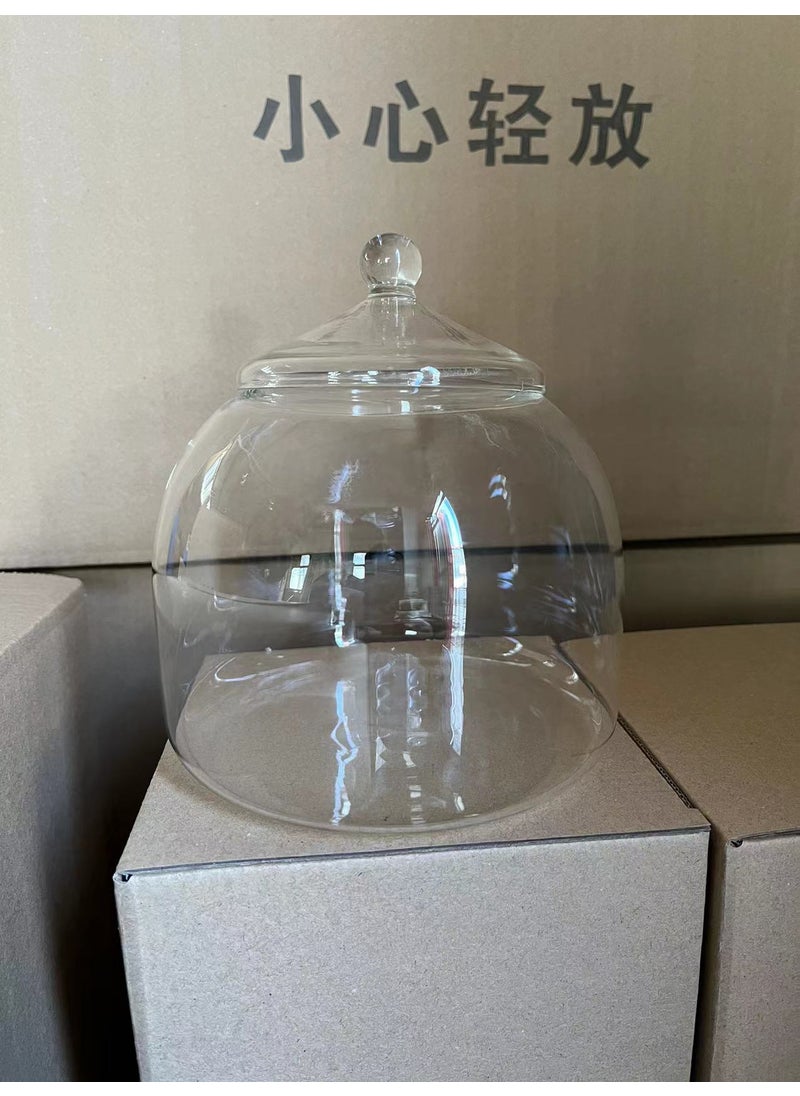 Generic - Large Micro Landscape Ecological Bottle Landscaping Glass Vase Hydroponic Plant Glass Bottle Fish Tank Ornaments Moss Bottle with Light - Image 1