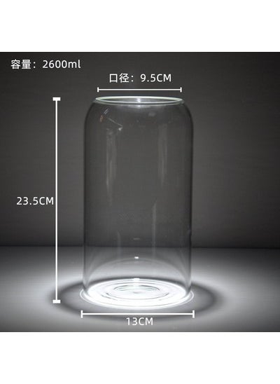 Generic - Large Micro Landscape Ecological Bottle Landscaping Glass Vase Hydroponic Plant Glass Bottle Fish Tank Ornaments Moss Bottle with Light - Image 1