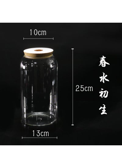Generic - Large Micro Landscape Ecological Bottle Landscaping Glass Vase Hydroponic Plant Glass Bottle Fish Tank Ornaments Moss Bottle with Light - Image 1