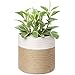 Dahey Small Cotton Rope Plant Basket Woven Plant Coiled Basket for Up to 7" Planter, 7.5" x 8" Decorative Flower Pot - Image 2