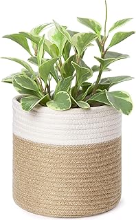 Dahey Small Cotton Rope Plant Basket Woven Plant Coiled Basket for Up to 7" Planter, 7.5" x 8" Decorative Flower Pot - Image 1