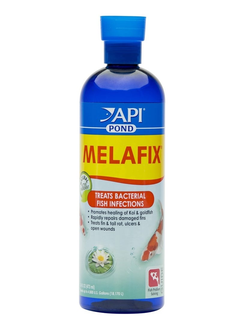 ايه بي آي API Pond Melafix، 16 أونصة