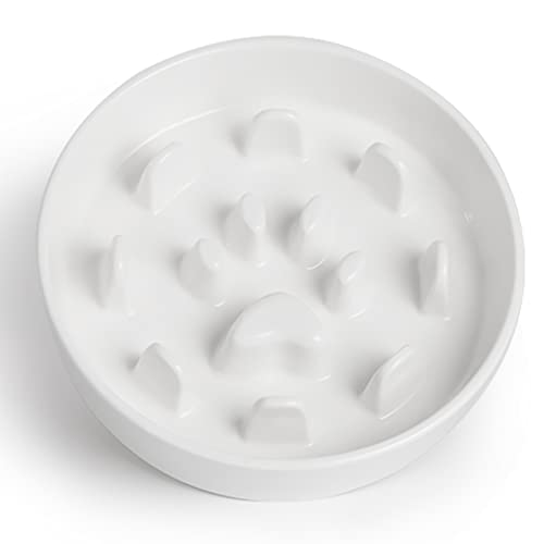 HAOTOP Ceramic Fun Slow Feeder Bowl Porcelain Slow Eater Bowl for Medium Sized Dogs White
