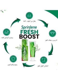 سبرين جين معجون أسنان سبرينجين زيت الحبة السوداء المنعش - 142 جم  - Image 5