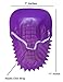 Dondor Enterprises Childrens Dinosaur Hats - Image 4