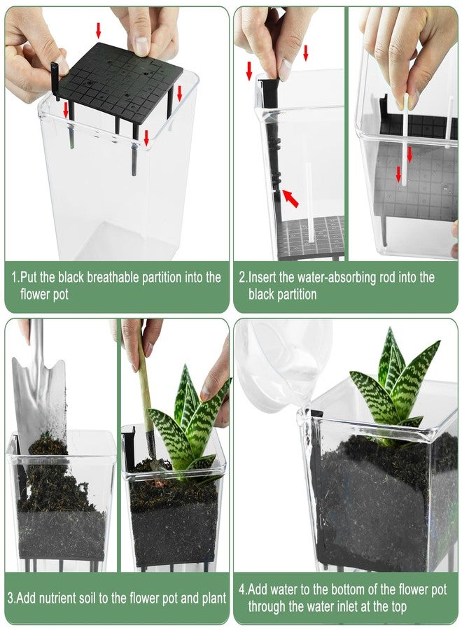 IWNTWY Self Watering Pots Set, 3 Pack 2.7 Inch Self Watering Pots for Indoor Plants, Clear Planter Pot with Deep Reservoir for Succulents, Seedlings, Small Plants - Image 5