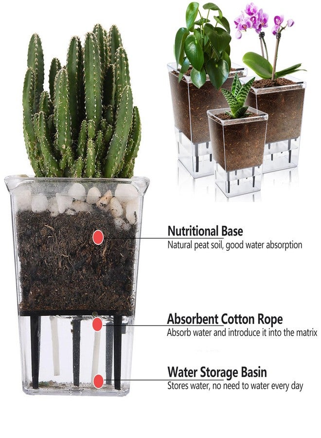 IWNTWY Self Watering Pots Set, 3 Pack 2.7 Inch Self Watering Pots for Indoor Plants, Clear Planter Pot with Deep Reservoir for Succulents, Seedlings, Small Plants - Image 4