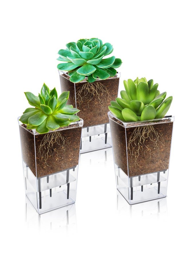 IWNTWY Self Watering Pots Set, 3 Pack 2.7 Inch Self Watering Pots for Indoor Plants, Clear Planter Pot with Deep Reservoir for Succulents, Seedlings, Small Plants - Image 1