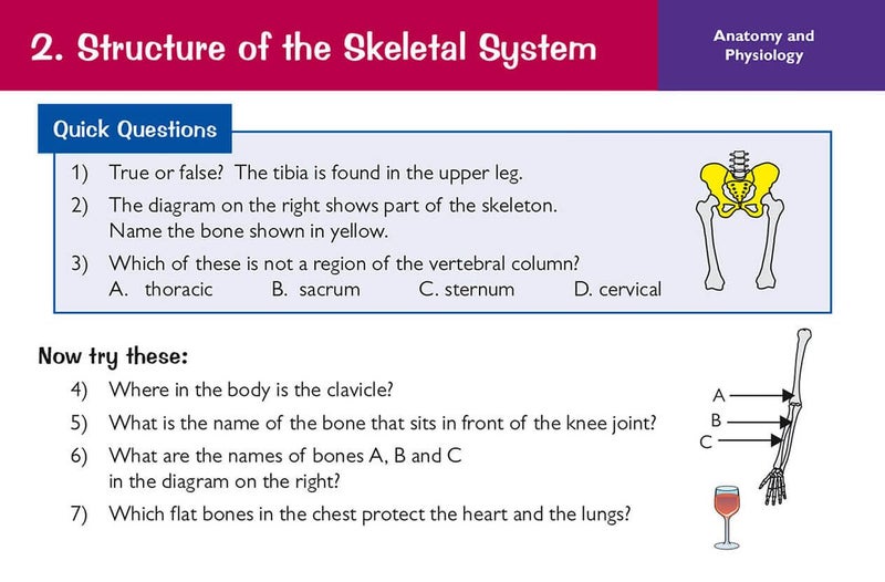 بطاقات مراجعة جديدة لمادة التربية البدنية GCSE للصف 9-1 من Edexcel - Image 5