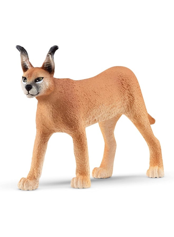 Schleich ألعاب سفاري الحيوانات البرية من شلايش، تمثال أنثى الكاراكال للأطفال - Image 1