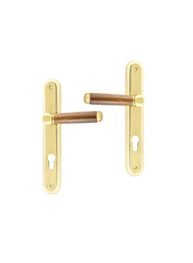 Cal Lever Handle Brass with Lock - Image 1