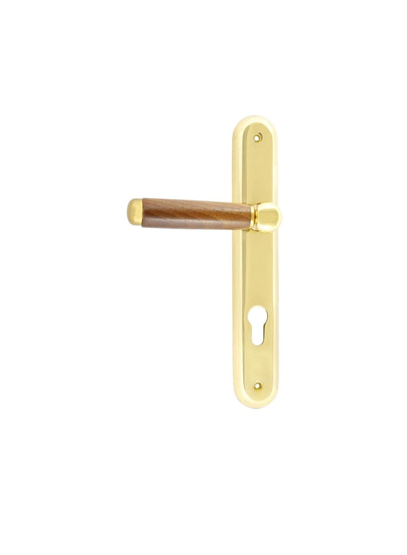 Cal Lever Handle Brass with Lock - Image 2