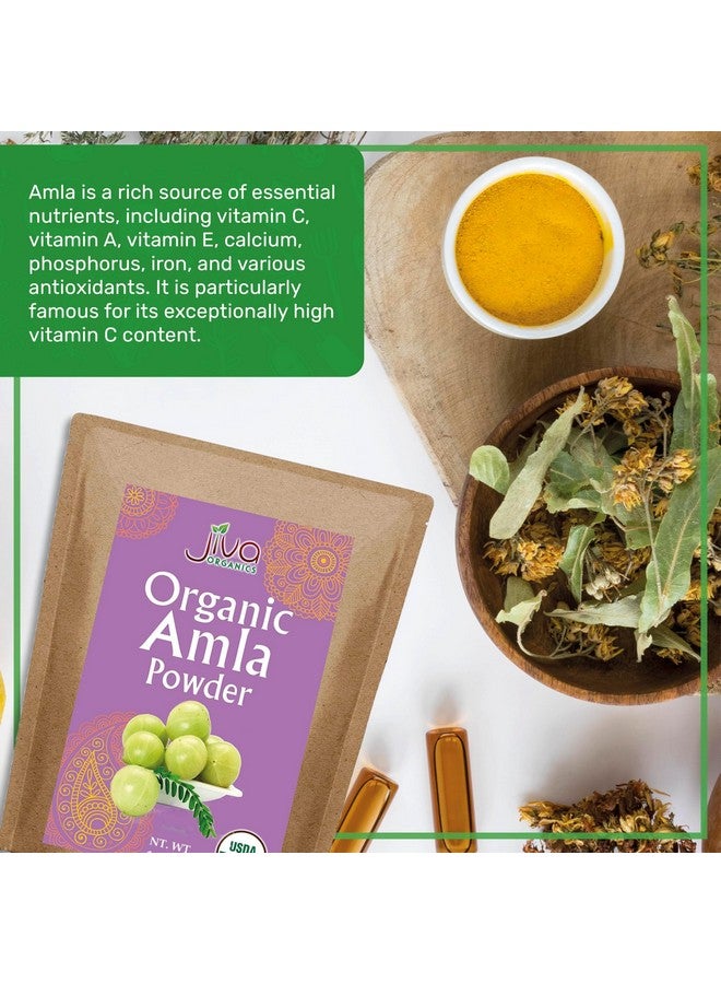 Jiva Organics Jiva Organics Organic Amla Powder 1.25 LB (20oz) - Lab Tested, Gluten Free, Non-GMO, Pure Amalaki Powder From India, Vitamin C, Bulk Bag, 100% Raw & Natural - Image 5
