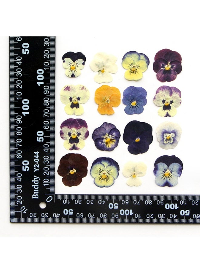 Chabeia 54 Pcs Dried Pressed Flowers, for Resin DIY Art Crafts, Natural Dry Floral Epoxy Jewelry, Real Flower Decor, Cakes, Phone Cases, Candles and Handmade Soap（Colorful） - Image 5