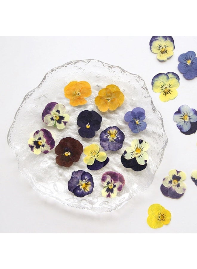 Chabeia 54 Pcs Dried Pressed Flowers, for Resin DIY Art Crafts, Natural Dry Floral Epoxy Jewelry, Real Flower Decor, Cakes, Phone Cases, Candles and Handmade Soap（Colorful） - Image 1