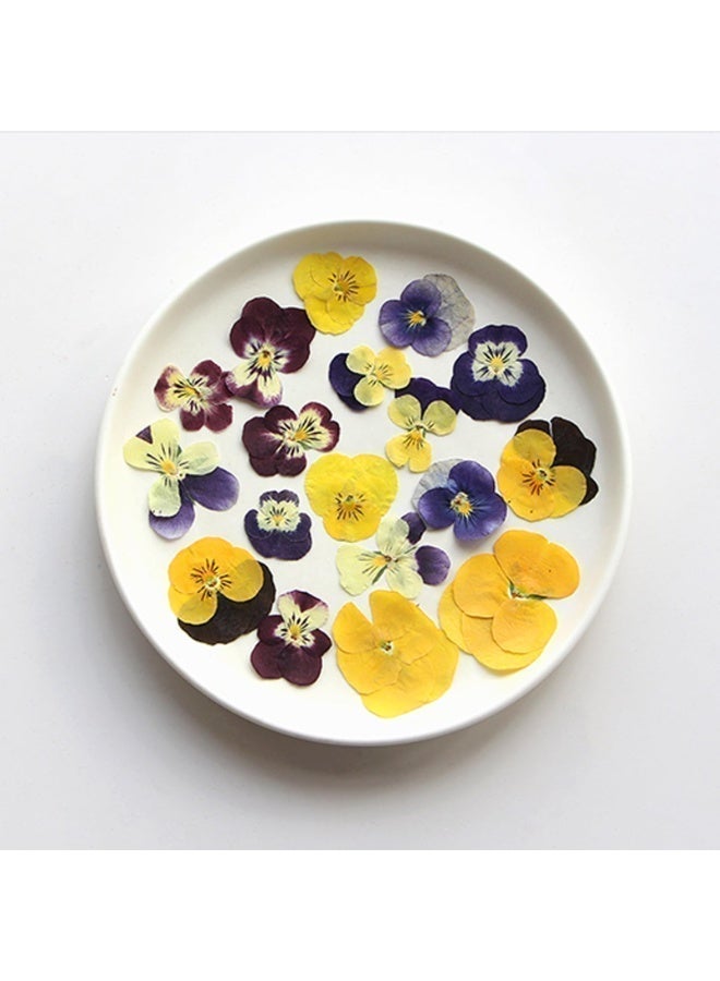 Chabeia 54 Pcs Dried Pressed Flowers, for Resin DIY Art Crafts, Natural Dry Floral Epoxy Jewelry, Real Flower Decor, Cakes, Phone Cases, Candles and Handmade Soap（Colorful） - Image 3