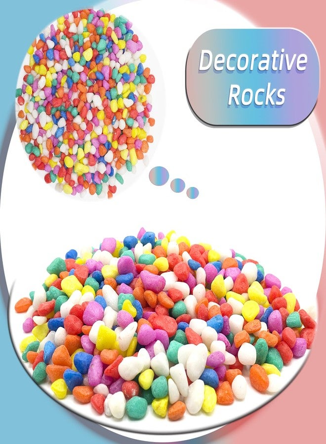 TACOLO Mixed Color Pebbles for Crafts, 0.9 Pound Natural Polished Aquarium Gravel, Decorative Pebbles for Indoor Plants, Turtle Tank, Vase, Succulents Cactus, Garden Landscaping - Image 3