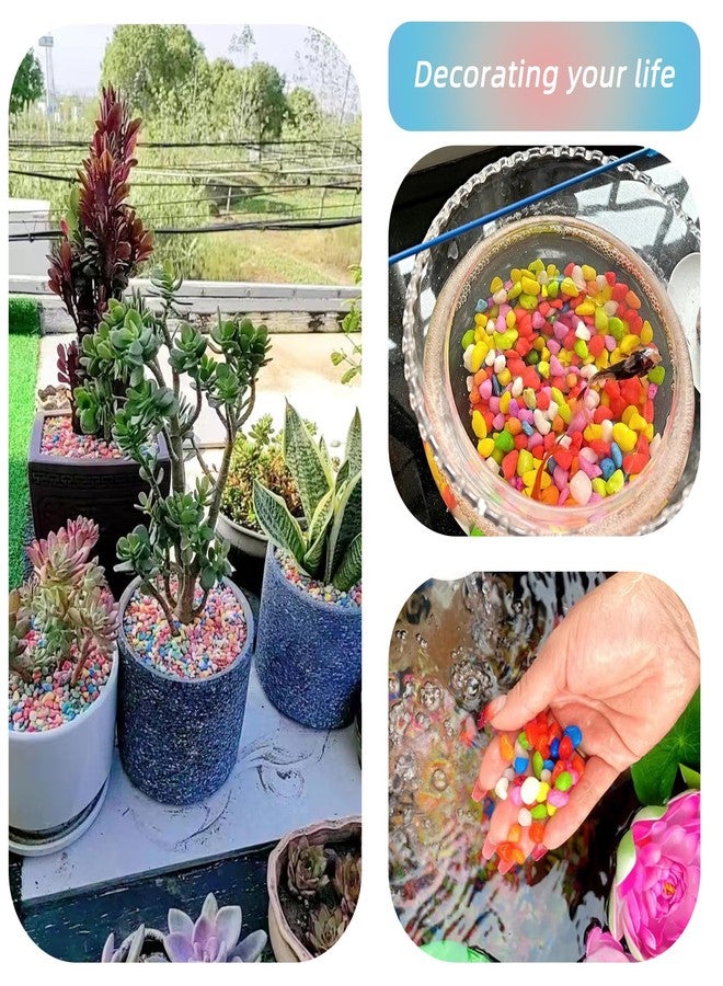 TACOLO Mixed Color Pebbles for Crafts, 0.9 Pound Natural Polished Aquarium Gravel, Decorative Pebbles for Indoor Plants, Turtle Tank, Vase, Succulents Cactus, Garden Landscaping - Image 5