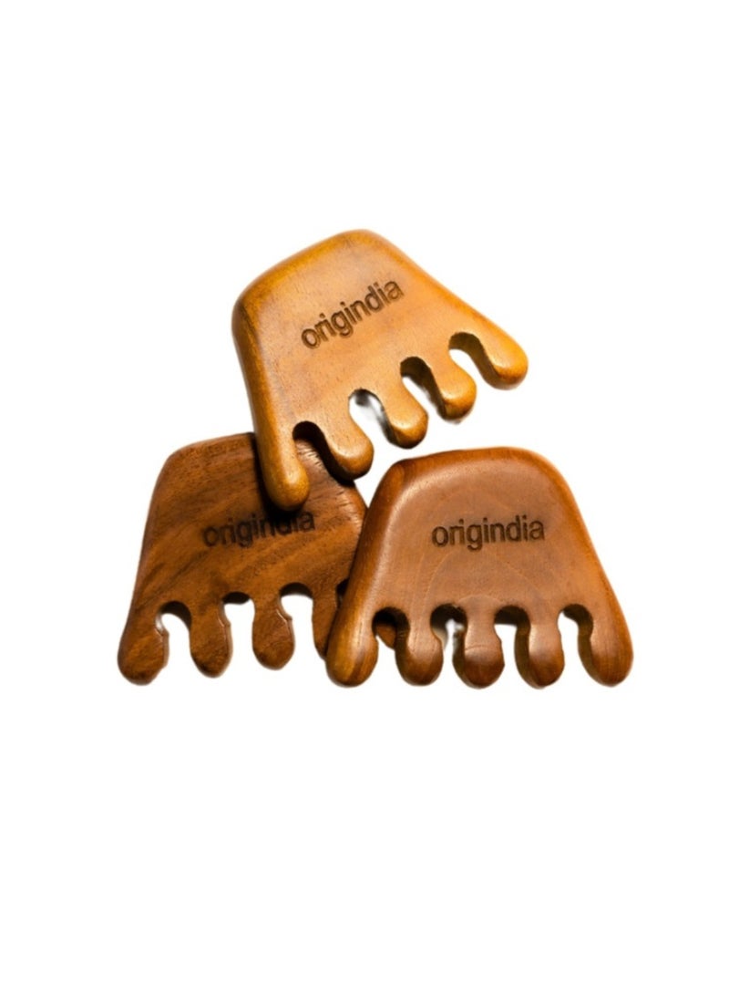 Neem Massager Comb - Image 1