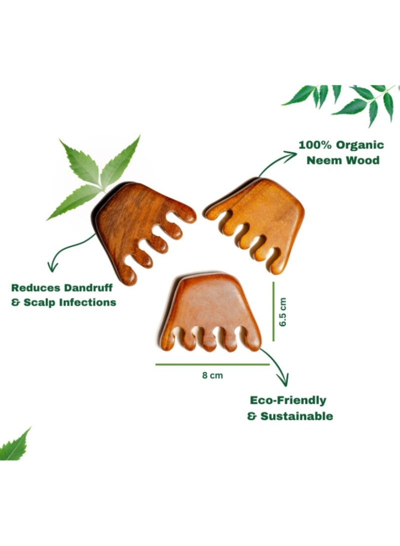 Neem Massager Comb - Image 2