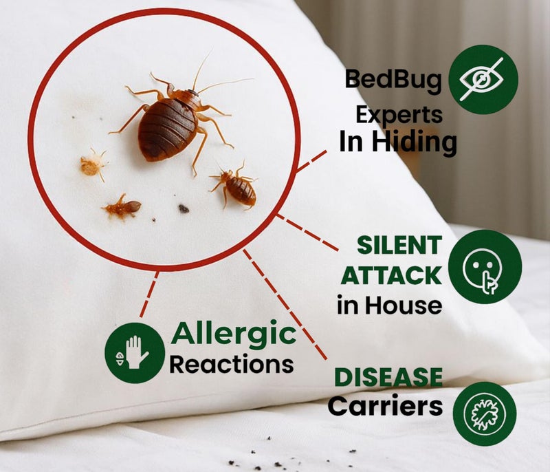 Amish Herbal Bedbug Spray 250ml | Powerful Bed Bugs Repel Spray for Bed, Mattress & Furniture | Organic Khatmal Repellent for Home | Odorless Herbal Pest Control - Image 3