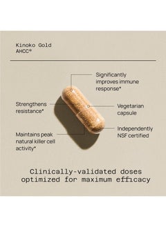 Premium Kinoko Gold AHCC Supplement-500mg of AHCC per Capsule-Supports Immune Health, Liver Function, Maintains Natural Killer Cell Activity & Enhances Cytokine Production-60 Veggie Capsules - pzsku/Z2BA2E1494E995CA81331Z/45/_/1735907648/2a75d9fe-31a4-4ec8-acaf-c12f38c53b31